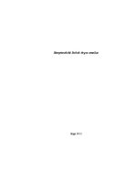 Referāts 'Starptautiskā Sukuk tirgus analīze', 1.