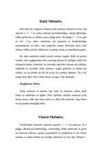 Referāts 'Mušmires', 6.