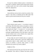 Referāts 'Mušmires', 8.