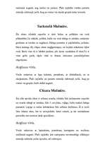 Referāts 'Mušmires', 9.