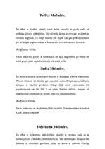 Referāts 'Mušmires', 10.