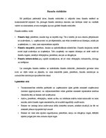 Referāts 'Globālā finanšu krīze', 13.