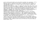 Eseja 'Scarlet Letter', 2.