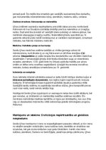 Konspekts 'Senas Ķīnas vēsture, kultūra, mitoloģija, sabiedrība un kultūras mantojums', 14.