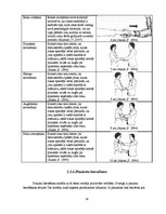Referāts 'Neverbālās saskarsmes īpatnības', 14.