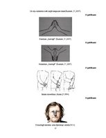 Referāts 'Neverbālās saskarsmes īpatnības', 37.