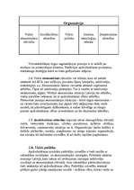 Referāts 'AS "Baltijas Transporta Apdrošināšana" analīze un apraksts', 9.