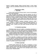 Referāts 'Organizāciju kultūra Eiropas valstīs', 11.