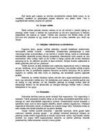 Referāts 'Organizāciju kultūra Eiropas valstīs', 13.