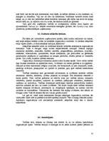 Referāts 'Organizāciju kultūra Eiropas valstīs', 16.