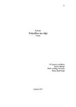 Referāts 'Svārstības un vilņi', 11.