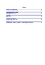 Biznesa plāns 'Pilnveidotu digitālo fotoaparātu ražošana', 2.