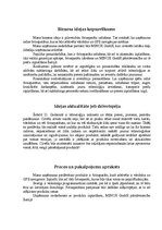 Biznesa plāns 'Pilnveidotu digitālo fotoaparātu ražošana', 3.