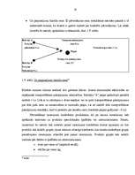 Referāts 'Latvijas transporta kravu pārvadājumu attīstības perspektīvas', 28.