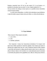 Referāts 'Latvijas transporta kravu pārvadājumu attīstības perspektīvas', 30.