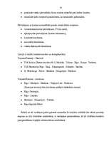 Referāts 'Latvijas transporta kravu pārvadājumu attīstības perspektīvas', 38.