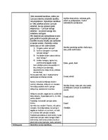 Konspekts 'Audzināšanas stundas pasākums 3.klasei "Latvijas dzimšanas diena"', 2.