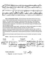 Konspekts 'Vokālās interpretācijas analīze - Žorža Bizē opera "Karmena"', 3.