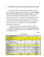 Referāts 'Izmaksas uzņēmējdarbībā, to noteikšana', 33.