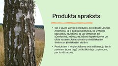 Prezentācija 'Ekoloģiskā saistviela no bērza tāss', 2.