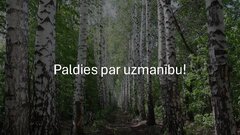 Prezentācija 'Ekoloģiskā saistviela no bērza tāss', 12.