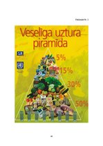 Diplomdarbs 'Sieviešu ēšanas paradumi grūtniecības laikā', 48.