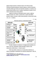Diplomdarbs 'E-risinājumu ieviešana aeronavigācijas uzņēmumā', 19.