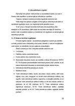 Diplomdarbs 'E-risinājumu ieviešana aeronavigācijas uzņēmumā', 32.