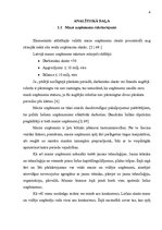 Referāts 'Uzņēmējdarbības ekonomiskās priekšrocības mazā uzņēmumā', 4.