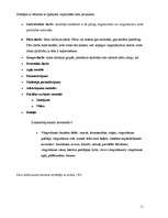 Konspekts 'Mācību plānu teorija, izveide un izvērtējums', 11.