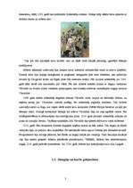 Referāts 'Krusta kari un Hanzas savienība Latvijas teritorijā', 3.