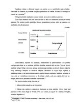 Referāts 'Reklāmas kampaņas stratēģijas izstrāde tūrisma firmā "GoAround"', 13.