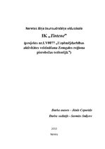 Biznesa plāns 'Biznesa plāns tetovēšanas un pīrsinga salonam "Tintene"', 1.