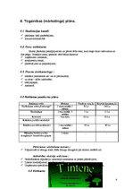 Biznesa plāns 'Biznesa plāns tetovēšanas un pīrsinga salonam "Tintene"', 8.