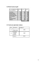 Biznesa plāns 'Biznesa plāns tetovēšanas un pīrsinga salonam "Tintene"', 13.