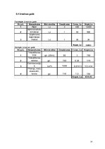 Biznesa plāns 'Biznesa plāns tetovēšanas un pīrsinga salonam "Tintene"', 14.