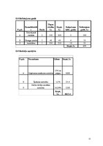 Biznesa plāns 'Biznesa plāns tetovēšanas un pīrsinga salonam "Tintene"', 15.