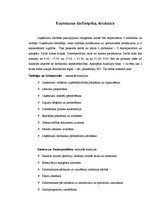 Biznesa plāns 'IU "MP3"', 5.