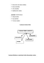 Biznesa plāns 'IU "MP3"', 6.