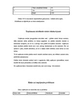 Biznesa plāns 'IU "MP3"', 10.