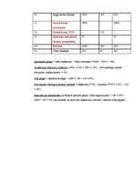 Biznesa plāns 'IU "MP3"', 23.