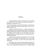 Biznesa plāns 'IU "MP3"', 24.