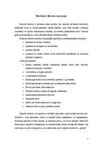 Referāts 'Pusaudžu vecumposma raksturojums. Ēšanas traucējumi (anoreksija un bulīmija)', 8.