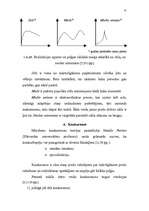 Referāts 'Jaunas preces sagatavošana tirgum', 21.