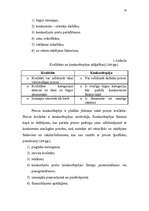 Referāts 'Jaunas preces sagatavošana tirgum', 23.