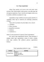 Referāts 'Jaunas preces sagatavošana tirgum', 29.