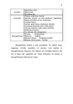 Referāts 'Jaunas preces sagatavošana tirgum', 30.