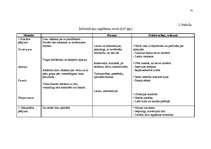 Referāts 'Jaunas preces sagatavošana tirgum', 31.