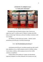 Referāts 'Jaunas preces sagatavošana tirgum', 33.