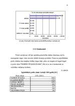 Referāts 'Jaunas preces sagatavošana tirgum', 35.